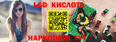 прущие грибы Канаш