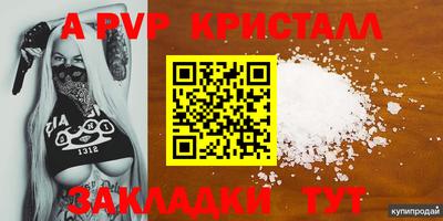 прущие грибы Канаш