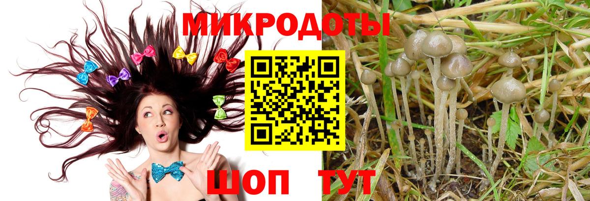 Псилоцибиновые грибы Psilocybe  Вход с VPN  Лабытнанги  хочу наркоту  Галлюциногенные грибы Psilocybe 