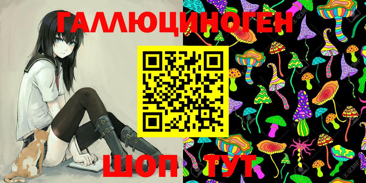 Псилоцибиновые грибы Psilocybine cubensis Лабытнанги